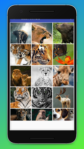 Download Beautiful Wild Animals Wallpapers - HD Free for Android - Beautiful  Wild Animals Wallpapers - HD APK Download 