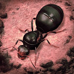 Cover Image of Unduh Quiz for The Ants & Underground Kingdom 8.1.4z APK