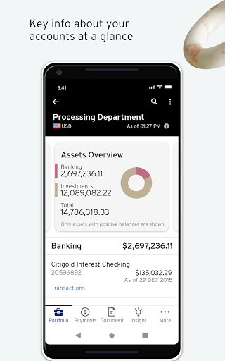 Citi Private Bank In View Screen 2