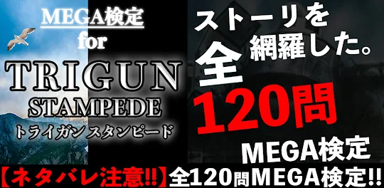 MEGA検定 for trigun stampede