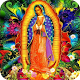 Virgen de Guadalupe Download on Windows