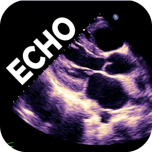 LEARN THE FULL ECHO PROTOCOL logo