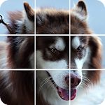 Cover Image of ダウンロード Photo Puzzle: Slide Puzzle Dog 1.2.5 APK