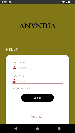 ANYNDIA Screen 2