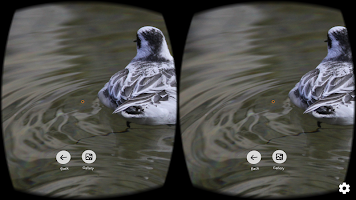 screenshot of FD VR - Virtual Photo Gallery