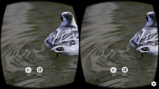 FD VR - Virtual Photo Galleryのおすすめ画像3