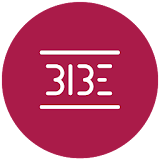 BIBE Control icon