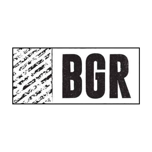 Get BGR - The Burger Joint for Android Aso Report