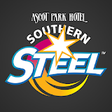 Steel Netball icon