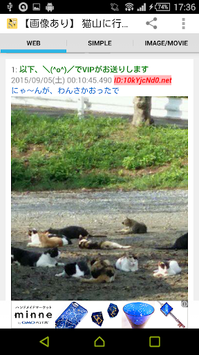 Android application ねこネコニュース 圏外でも見られる、広告の少ない猫アプリ screenshort