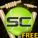 Cover Image of Download Street Cricket 4.3 APK