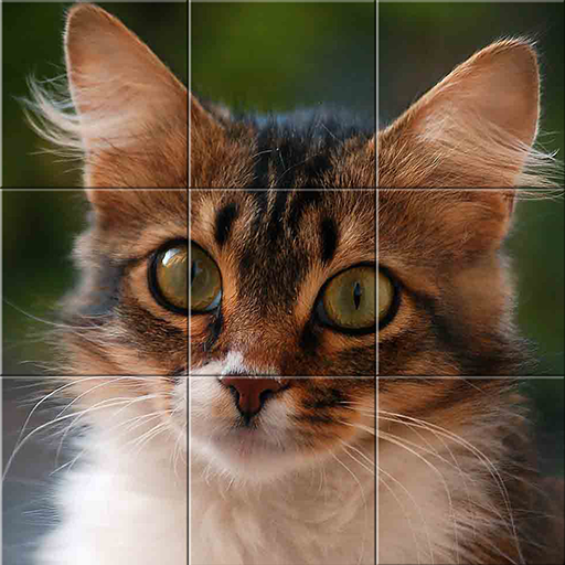 Easy cat puzzle  Icon