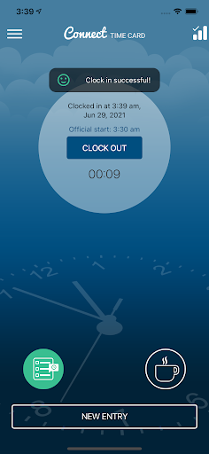 Connect Time Card Screen 3