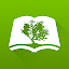 NLT Bible App by Olive Tree
