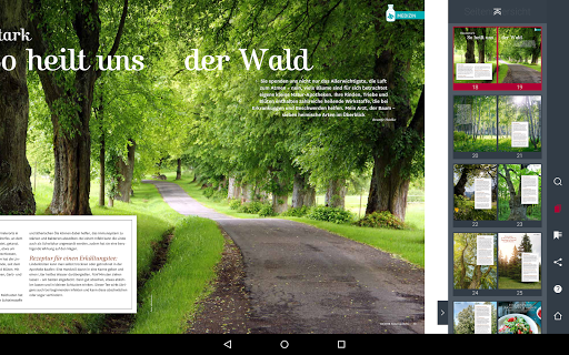 falkemedia Kiosk screenshot 14