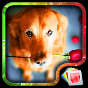 Top 40 Personalization Apps Like Cute Puppies Live Wallpaper - Best Alternatives