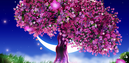 Cherry Blossom Live Wallpaper - Apps on Google Play