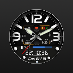 FSW244 Hybrid Watchface