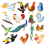 Birds - Learn, Spell, Quiz, Draw, Color and Games icon