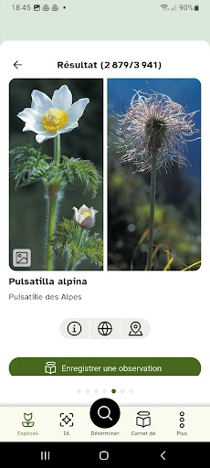 Flora Helvetica screenshot 2
