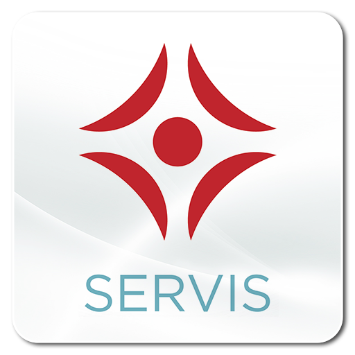 NIBE Servis logo