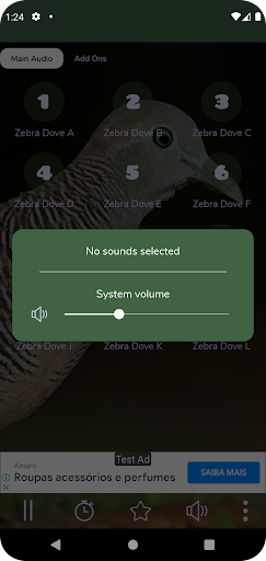 Zebra Dove Sounds Screen 2