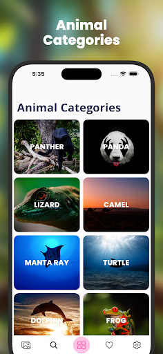 Screenshot of Animal Wallpapers HD | 4K