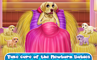 Labrador Quadruplets Caring - Screenshot 3