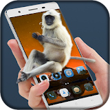 Monkey On Screen Prank icon