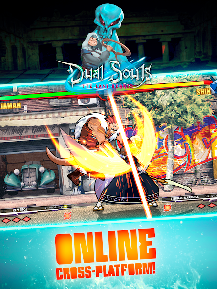 Dual Souls: The Last Bearer banner
