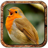 30 animal sounds and ringtones icon