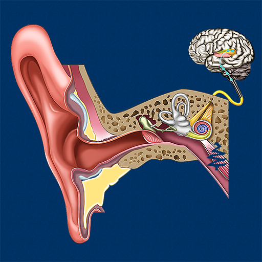 Ear ID دانلود در ویندوز