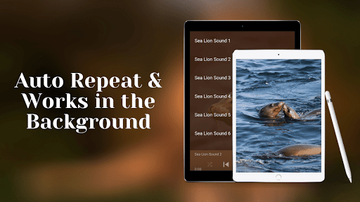 Sea lion sounds Screenshot 4 - AppWisp.com