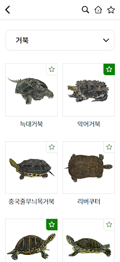 궁금해! 외래 양서·파충류 Screen 3