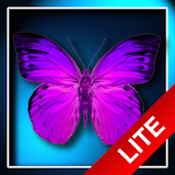 Butterflies LWP icon