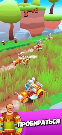 Game screenshot Сhamps Race: 3D Аркадная Игра apk download