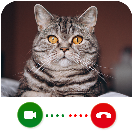 Cat Video Calling & Chat Simulator Install on Windows