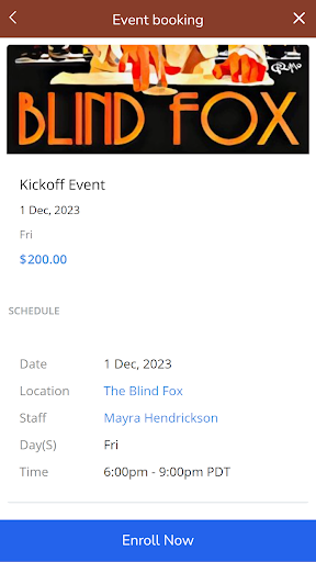 Blind Fox Screen 3