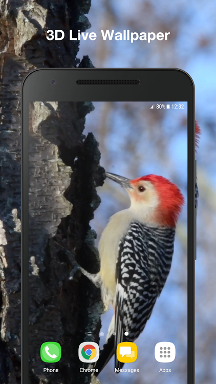 Bird Live Wallpaper - 2.1 - (Android)