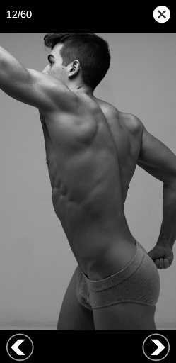 Screenshot of 3D Anatomy for the Artist