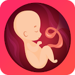 Cover Image of Download Pregnancy due date tracker with contraction timer 1.16.1 APK
