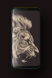 Lion Wallpaper HD, GIF