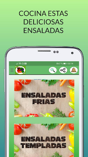 Ensaladas deliciosas Screen 2
