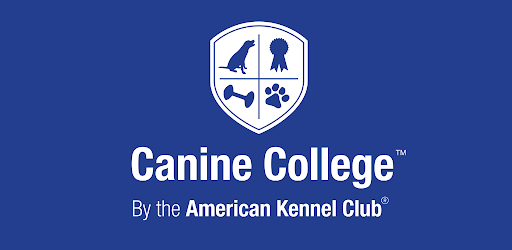 AKC Canine College
