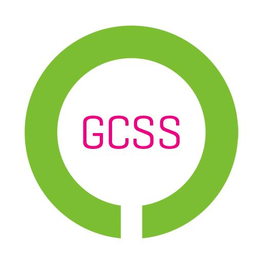 Zong GCSS BI Dashboard Logo