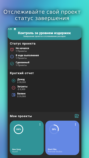 Предварительный просмотр приложения