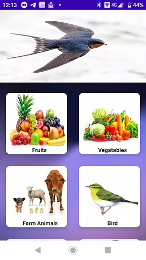 English Fruits Screen 3