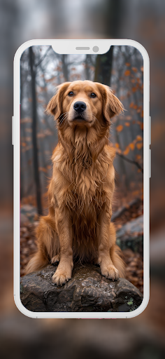 Screenshot of Cute Dog Wallpapers
