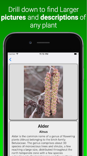 House Plants Dictionary Screen 2