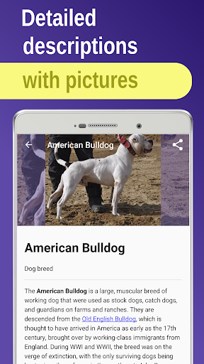 Dog breeds Screen 2